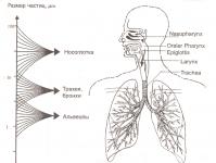 Terapia cu aerosoli - Fizioterapie