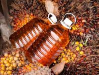 Пальмовое масло вред или польза в продуктах