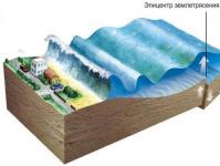 Tsunami: määritelmä, alku, historia ja ympäristövaikutukset